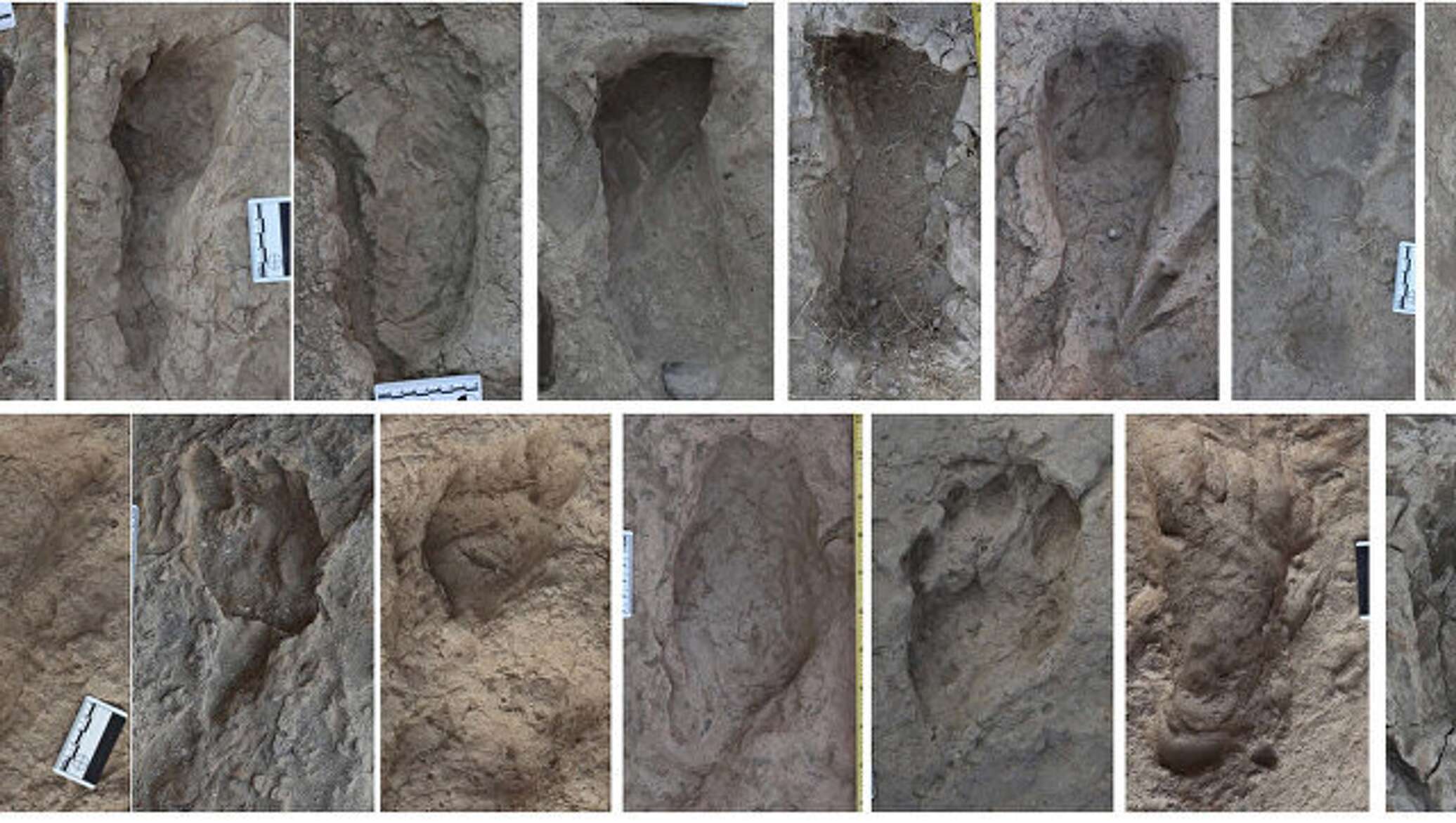 Prähistorische Spuren, die in Portugal entdeckt wurden, deuten darauf hin, dass sogar Neandertaler-Säuglinge an Jagdüberfällen beteiligt waren.