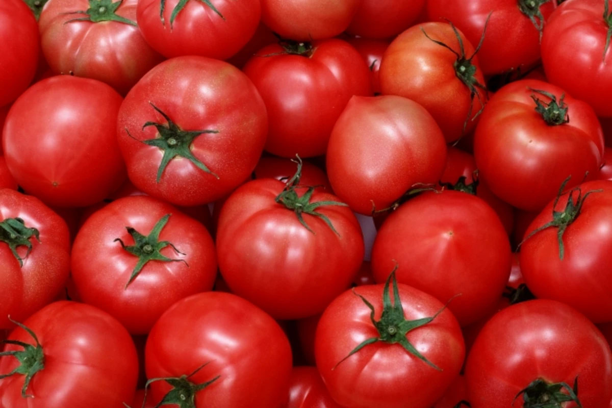 Streuen Sie dies über die Tomaten. Eine ungewöhnliche Methode für eine gesunde und reichhaltige Ernte