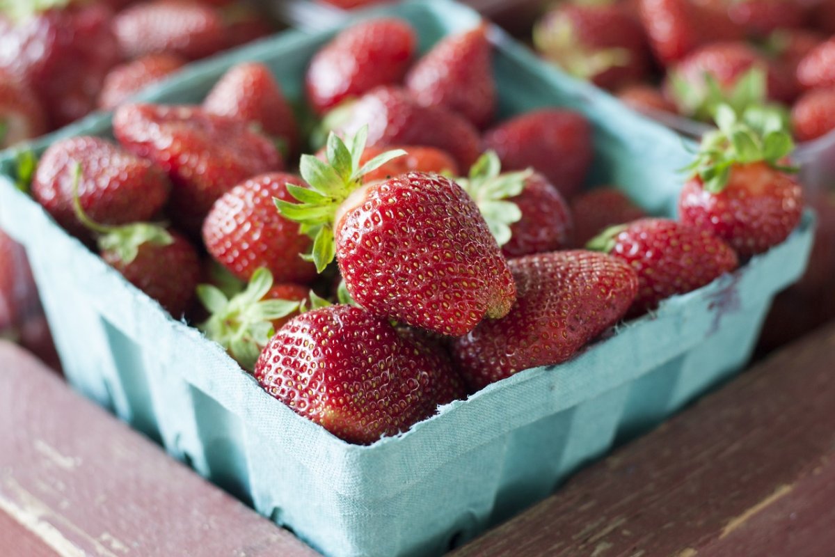 Tipps zur Verlängerung der Haltbarkeit von frischen Erdbeeren ohne Beeinträchtigung ihres Geschmacks und ihrer Konsistenz