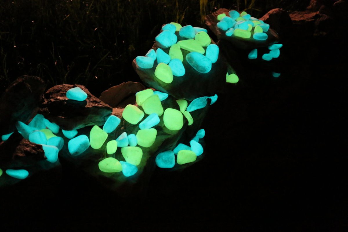 Als er ein Loch für ein Baum pflanzte, entdeckte er fluoreszierende Steine: „Das Museum hat alles ohne Entschädigung mitgenommen.“