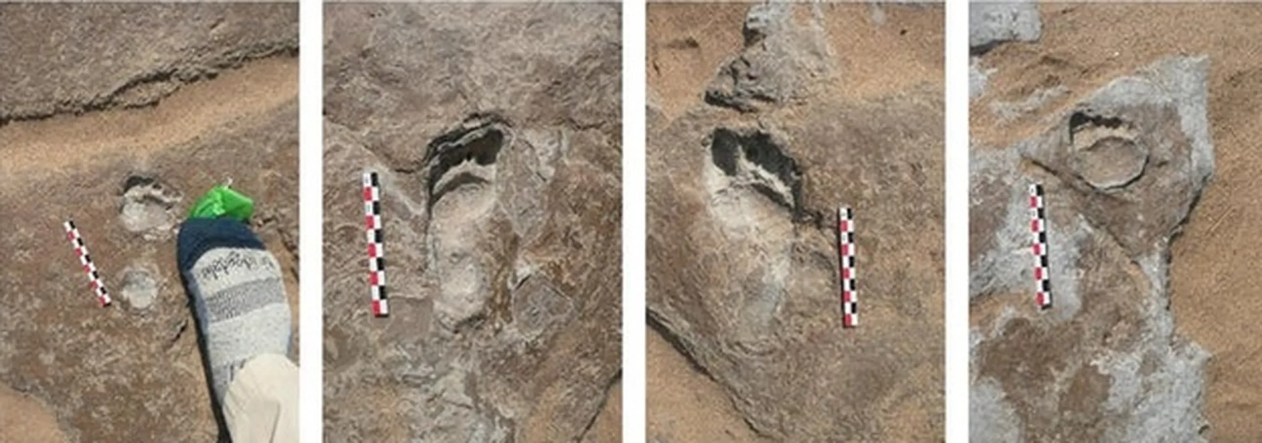 Prähistorische Spuren, die in Portugal entdeckt wurden, deuten darauf hin, dass sogar Neandertaler-Säuglinge an Jagdüberfällen beteiligt waren.