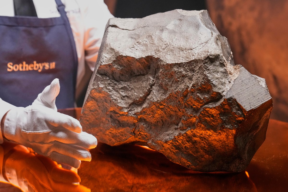 Ein Stück Mars ist in Afrika gelandet und zum wertvollsten Stein der Welt geworden: „Es wäre schade, wenn er verschwinden würde.“