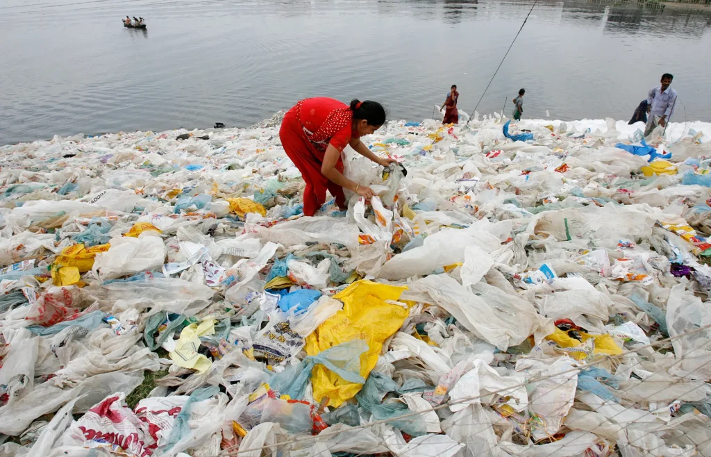 Eine neue Studie zeigt, dass Gesetze, die die Verwendung von Plastiktüten verbieten, deren Verwendung an der Küste um 47 % reduzieren.