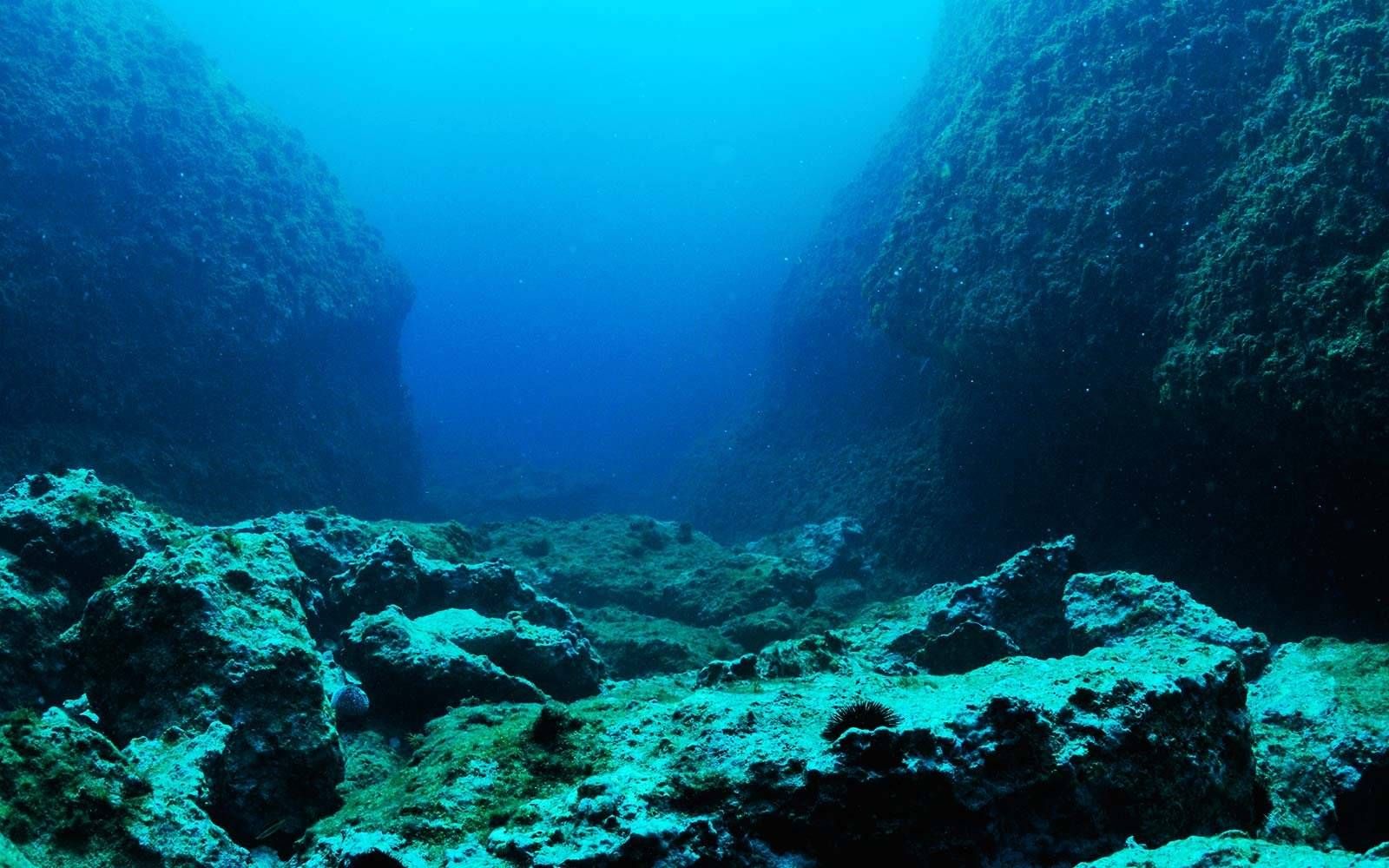 Besorgnis der Forscher nach Entdeckung einer unsichtbaren Gefahr im Ozean: Sie wurde erheblich unterschätzt