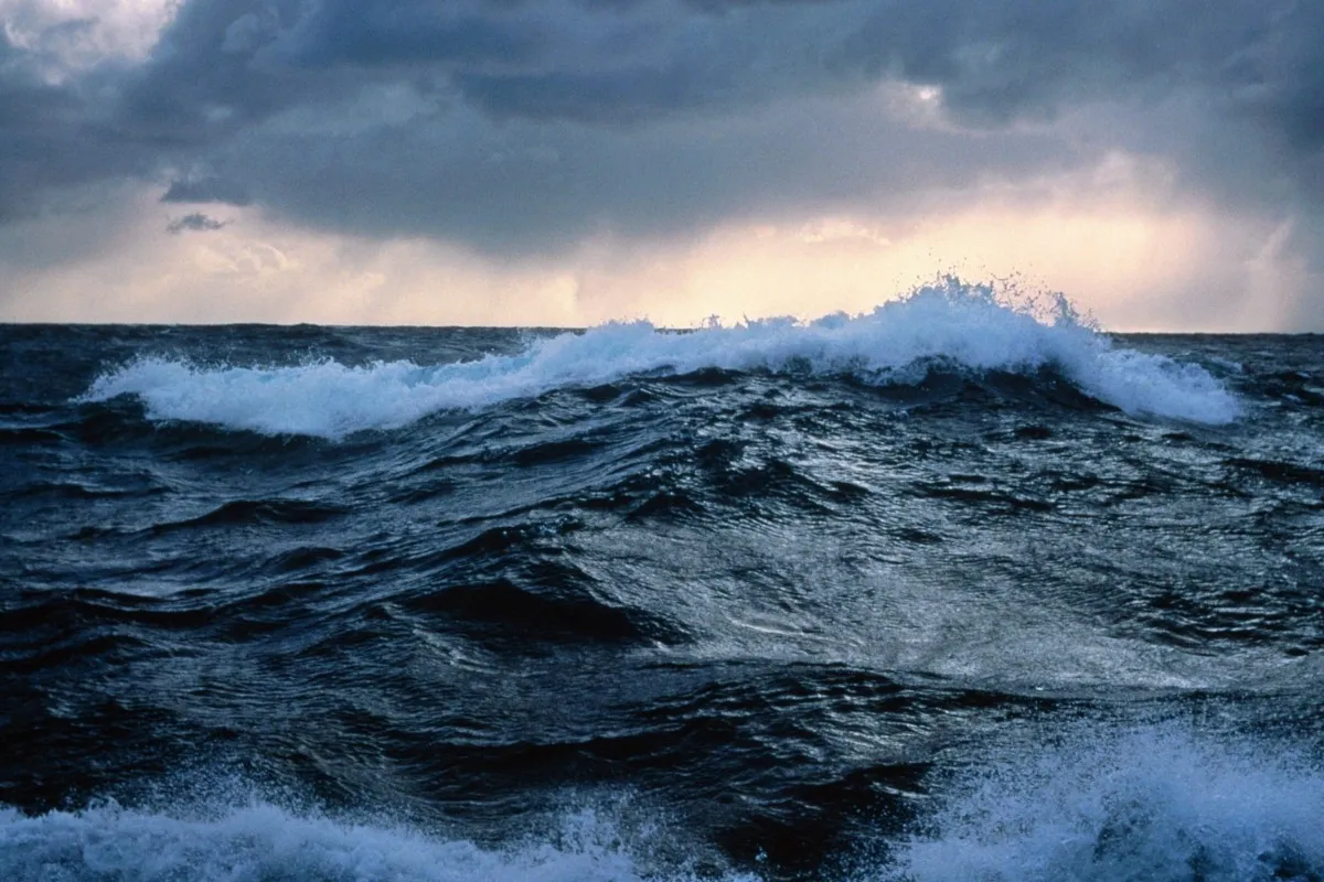 Ein Sturm hat die Überreste eines Kriegsschiffes freigelegt. Eine sensationelle Entdeckung.
