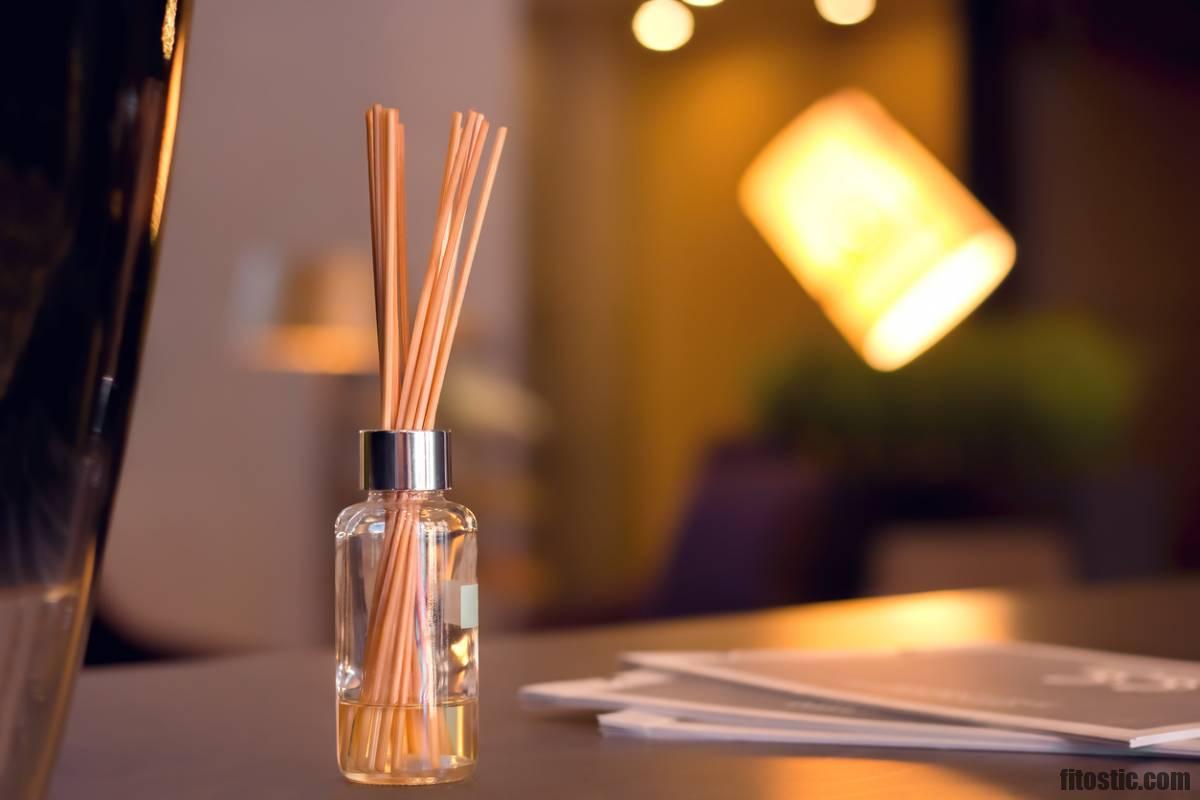 Weder Cremes noch Zitrone: Der wirksamste und natürlichste Trick, um Mückenstiche in diesem Sommer zu vermeiden