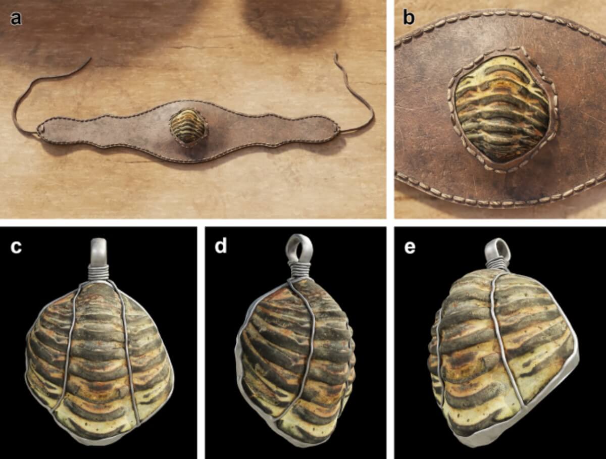 Archäologen haben einen 450 Millionen Jahre alten Trilobiten entdeckt, der im Römischen Reich als Amulett verwendet wurde: Er wurde auf der Müllhalde eines Luxushauses in Galicien gefunden.