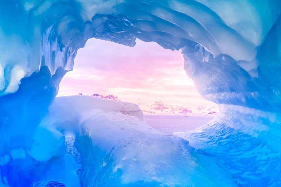 Im Schnee der Antarktis wurde etwas entdeckt, das wir jeden Tag benutzen, das aber dort nicht sein sollte.