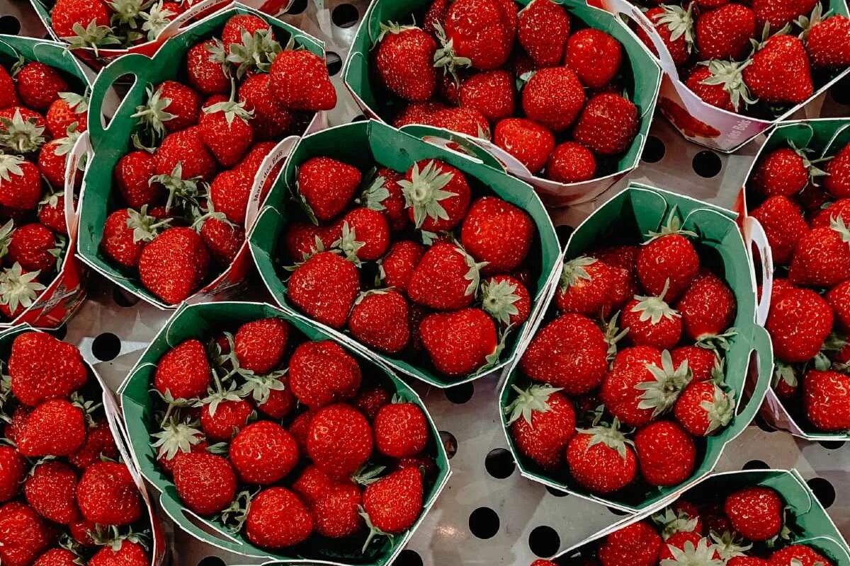 Tipps zur Verlängerung der Haltbarkeit von frischen Erdbeeren ohne Beeinträchtigung ihres Geschmacks und ihrer Konsistenz