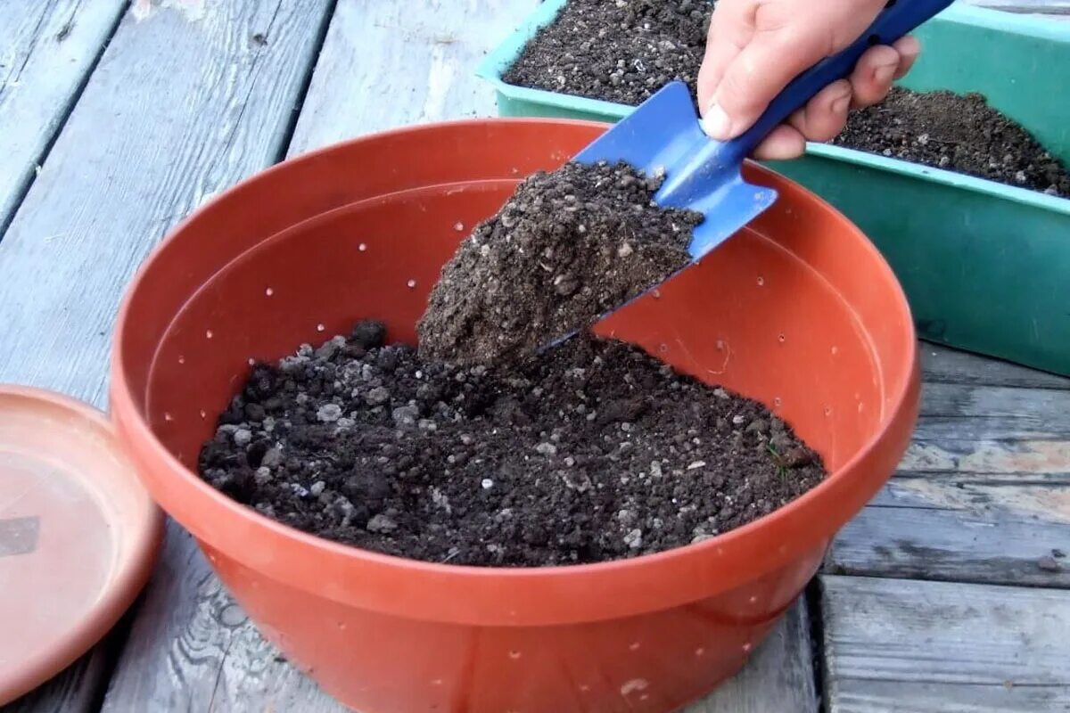 Werfen Sie immer noch Erde aus alten Töpfen weg? So verwandeln Sie sie in einen Schatz für Ihren Garten