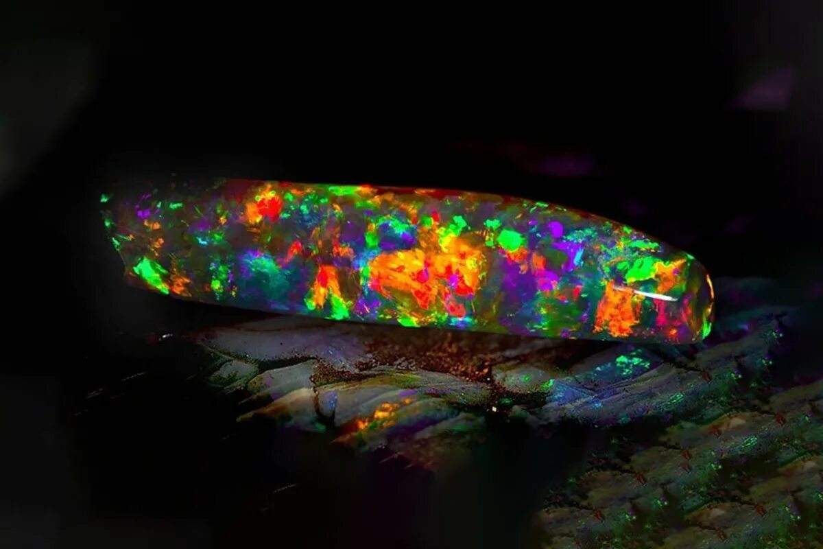 Als er ein Loch für ein Baum pflanzte, entdeckte er fluoreszierende Steine: „Das Museum hat alles ohne Entschädigung mitgenommen.“