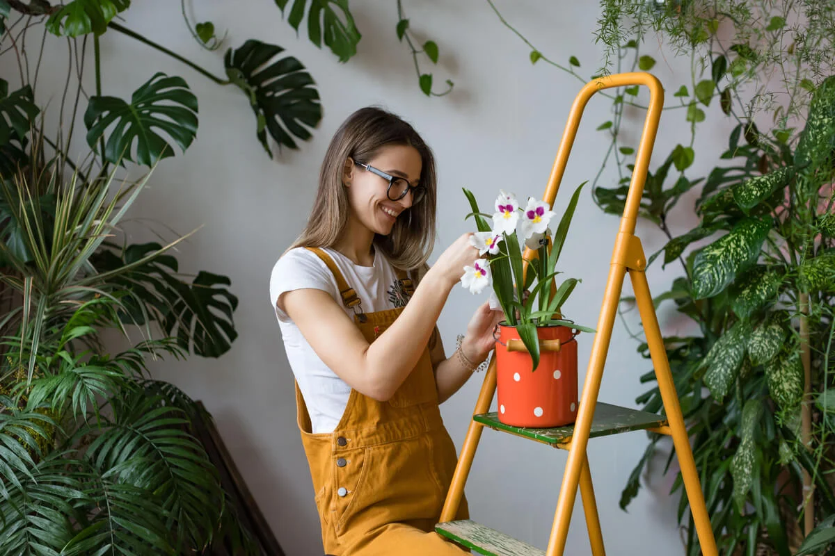 Diese 7 Pflanzen verwandeln Ihren Garten in eine Oase der Ruhe, die jahrzehntelang pflegeleicht bleibt