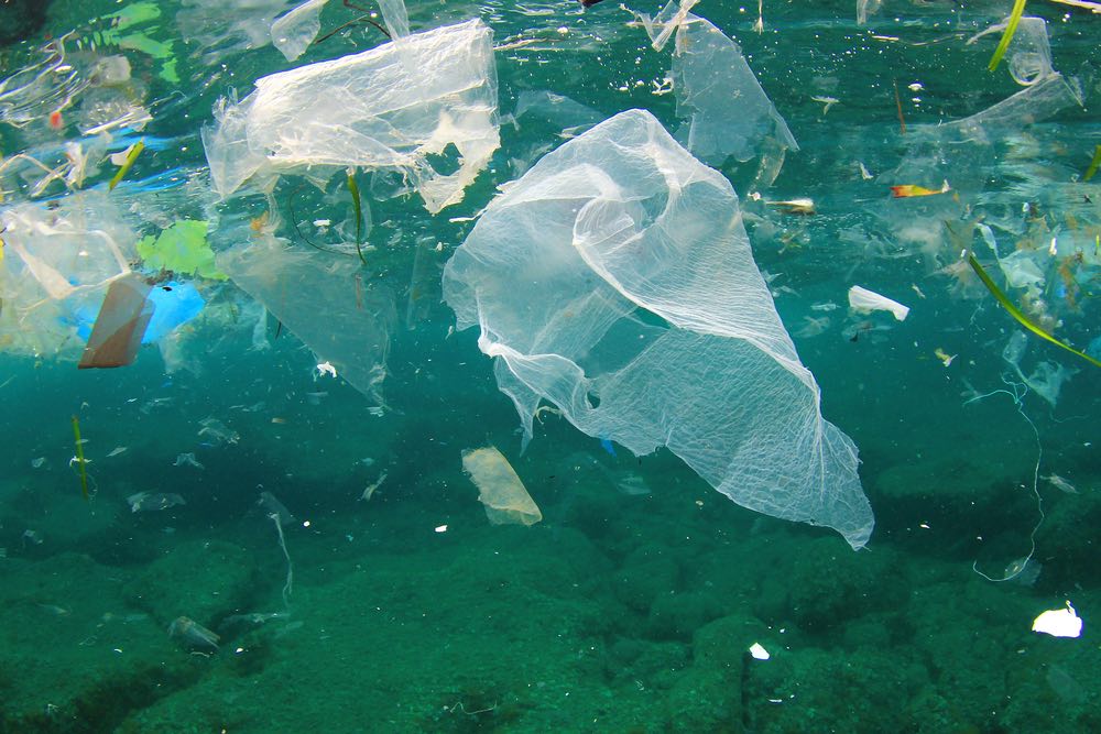 Eine neue Studie zeigt, dass Gesetze, die die Verwendung von Plastiktüten verbieten, deren Verwendung an der Küste um 47 % reduzieren.