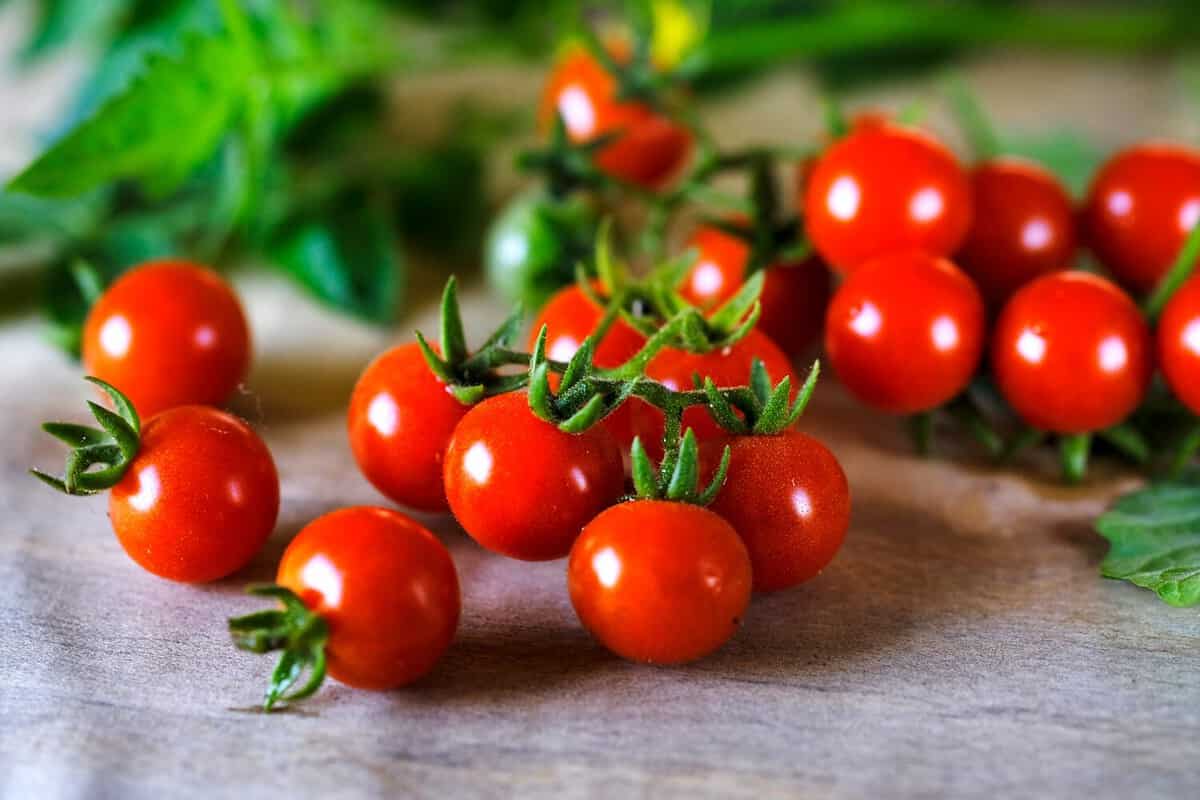 Tomaten