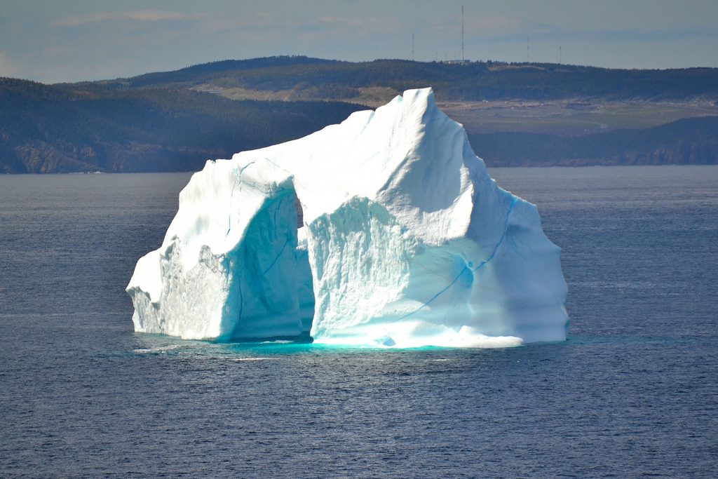 Ein Eisberg ist von der Antarktis abgebrochen. Darunter befand sich ein riesiges Tier.