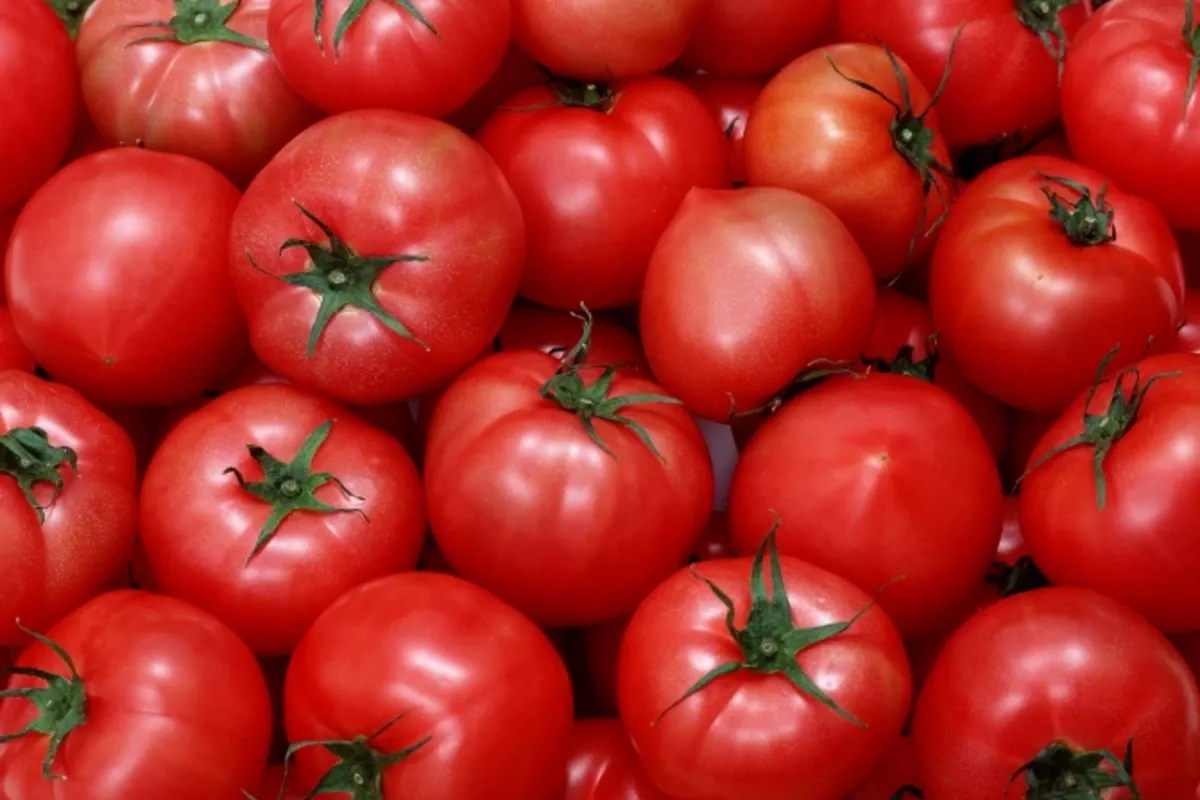 Streuen Sie dies über die Tomaten. Eine ungewöhnliche Methode für eine gesunde und reichhaltige Ernte