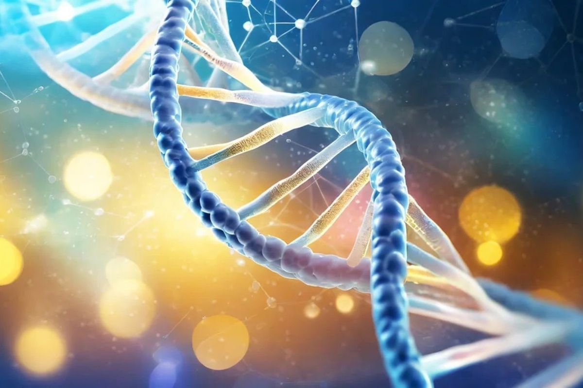 Mäusen wurde die DNA eines vor 40.000 Jahren lebenden Neandertalers injiziert: Biologen sind von den ersten Ergebnissen überrascht