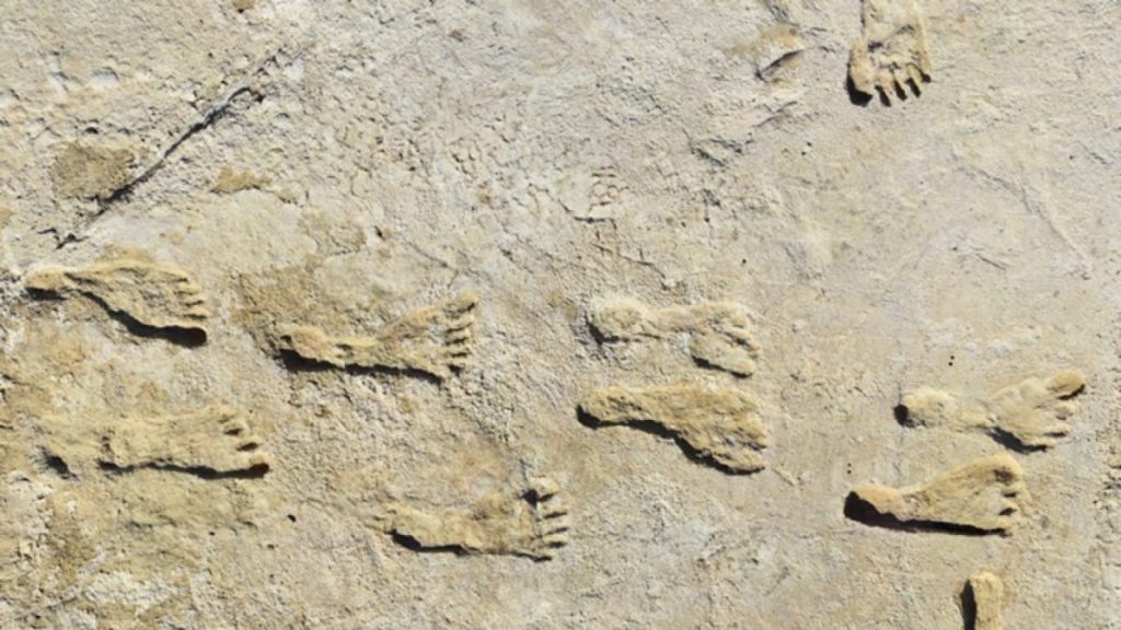 Wissenschaftler haben Spuren von Neandertalern entdeckt, die vor 78.000 Jahren lebten und die Geschichte ihres Überlebens erzählen