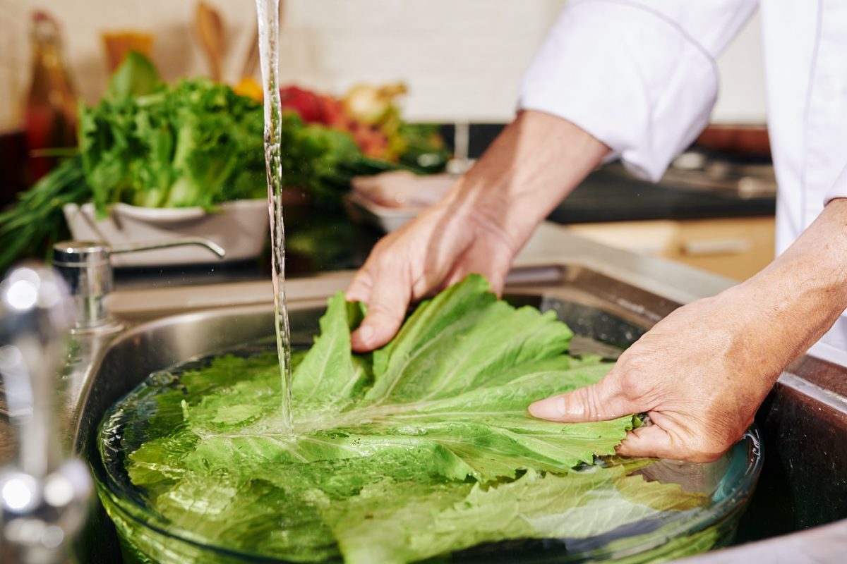 Experten bestätigen: Wie man Salat richtig wäscht und Bakterien und Pestizide entfernt