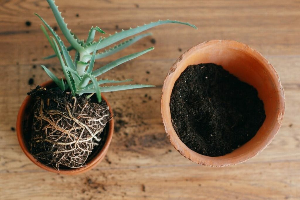 Werfen Sie immer noch Erde aus alten Töpfen weg? So verwandeln Sie sie in einen Schatz für Ihren Garten