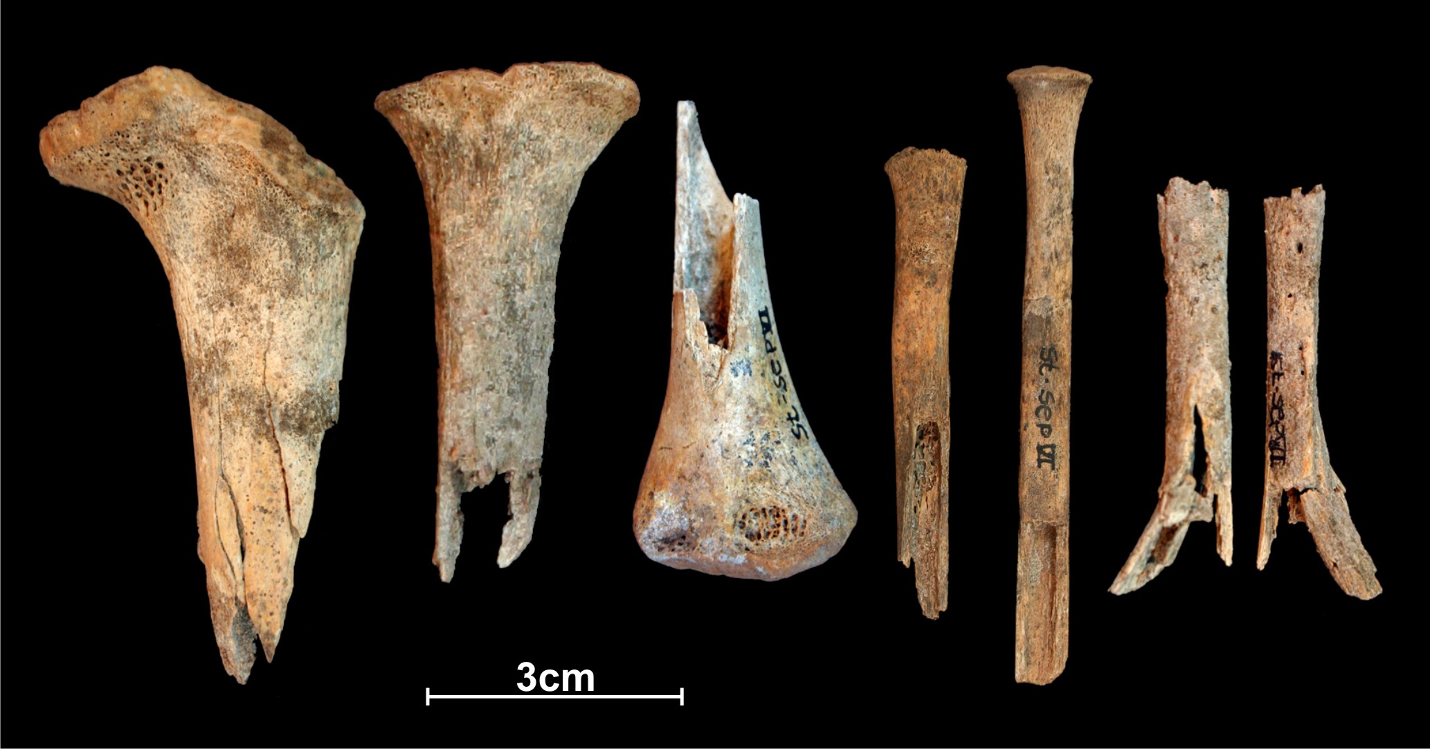 Die Neandertaler haben ein ungewöhnliches Werkzeug hinterlassen. Seine Konstruktion ähnelt der eines modernen Werkzeugs.