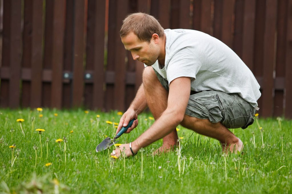 Mit diesem Hausmittel können Sie Unkraut ohne Chemikalien und mit geringem Aufwand aus Ihrem Garten entfernen.