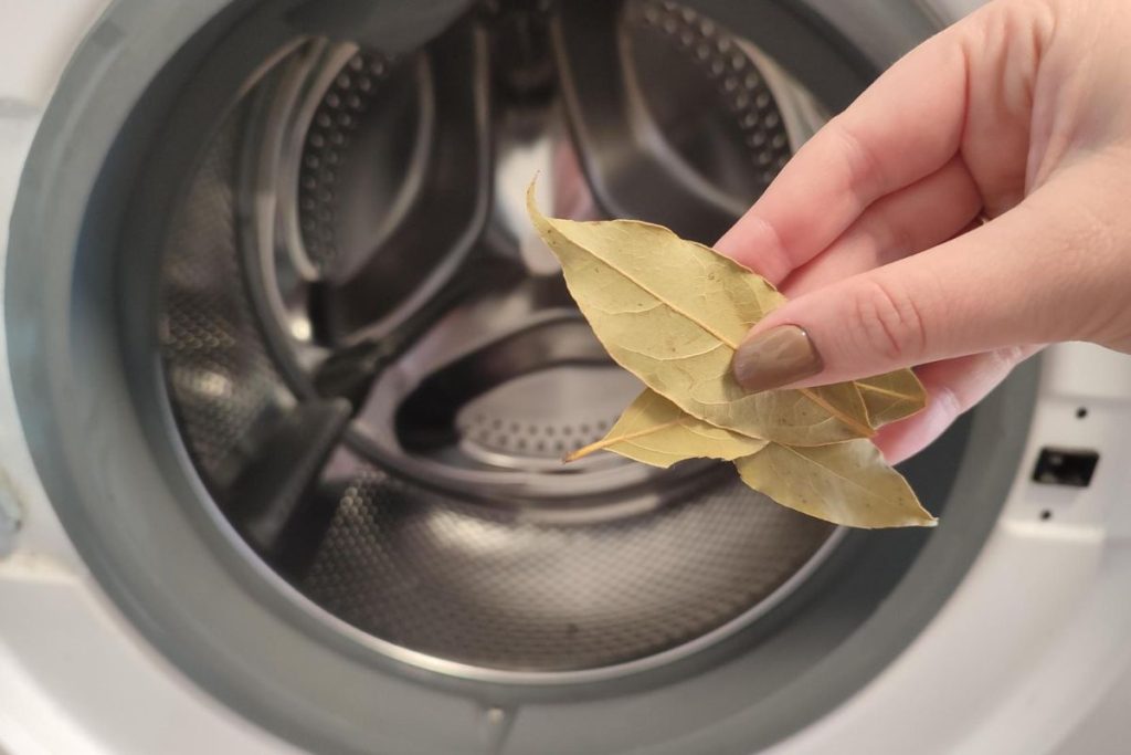 Lorbeerblatt in der Waschmaschine: Ein Tipp, den viele nutzen, und warum