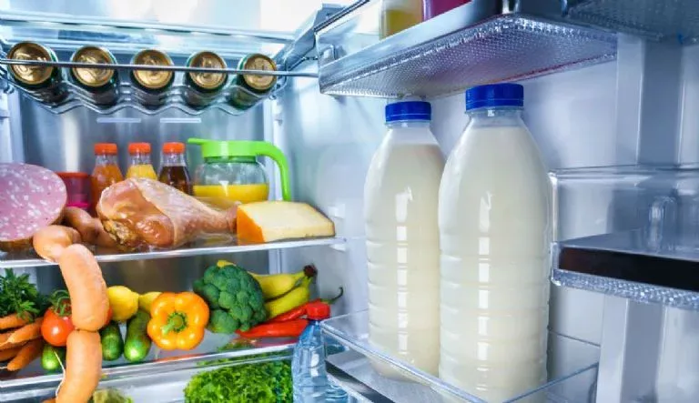 Wie man unangenehme Gerüche aus dem Kühlschrank mit einer einzigen Küchenzutat beseitigt