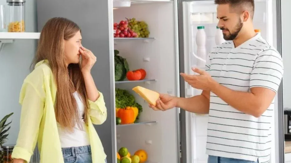 Wie man unangenehme Gerüche aus dem Kühlschrank mit einer Küchenzutat entfernt