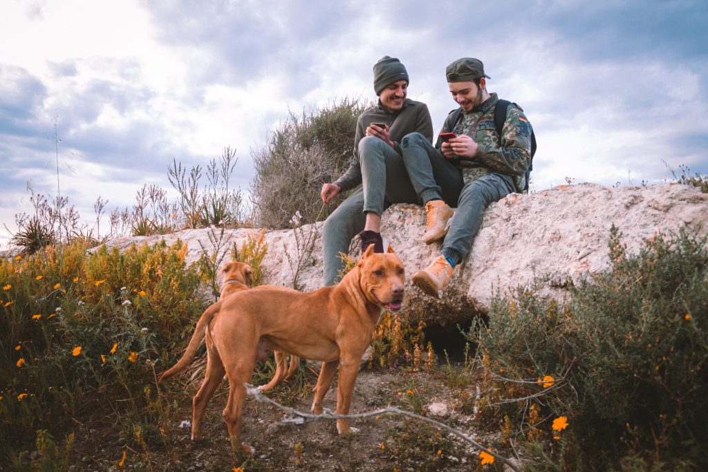 Was bedeutet es psychologisch, wenn Ihr Hund Ihnen überall hin folgt?