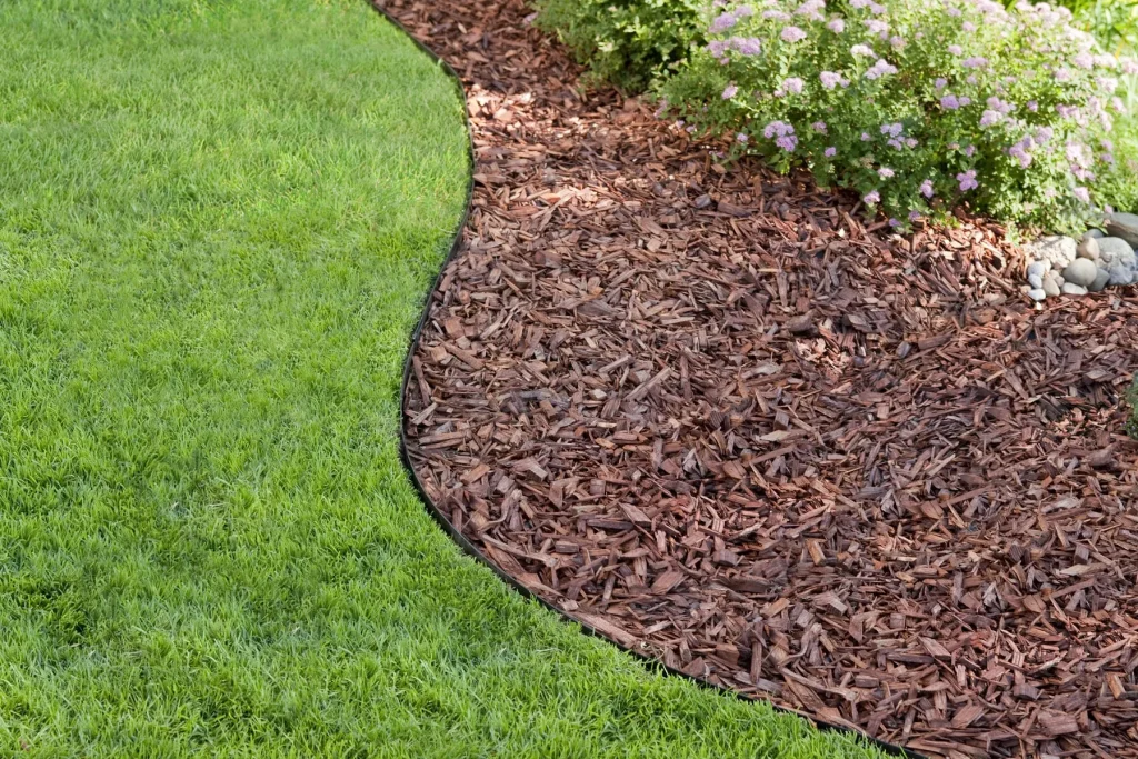 Holzhackschnitzel als Mulch: eine sinnvolle Wahl, die versteckte Gefahren für Ihren Garten birgt