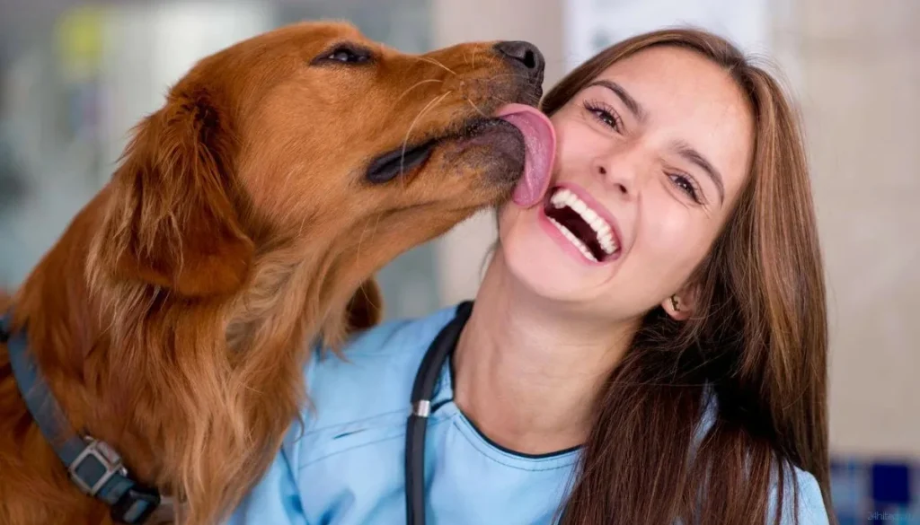 Was bedeutet es psychologisch, wenn Ihr Hund Ihnen überall hin folgt?