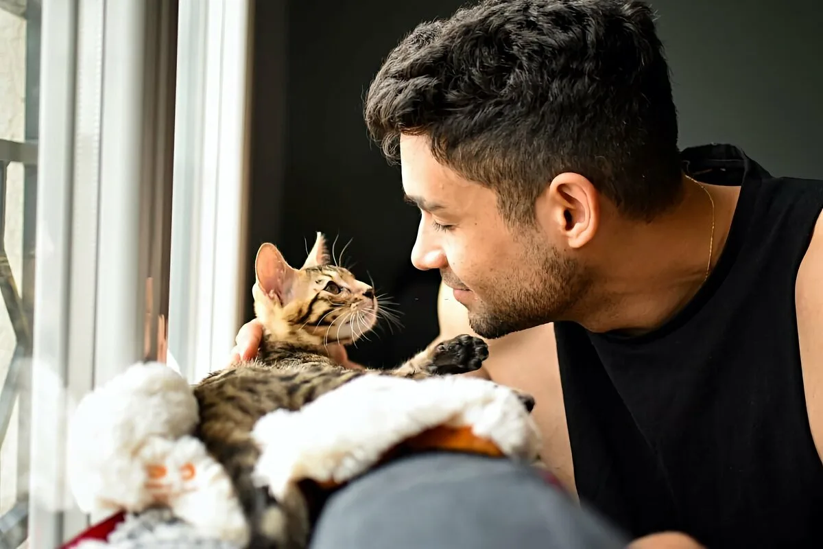 Laut Psychologen hat jemand, der Katzen mag, die folgenden Eigenschaften und Merkmale.