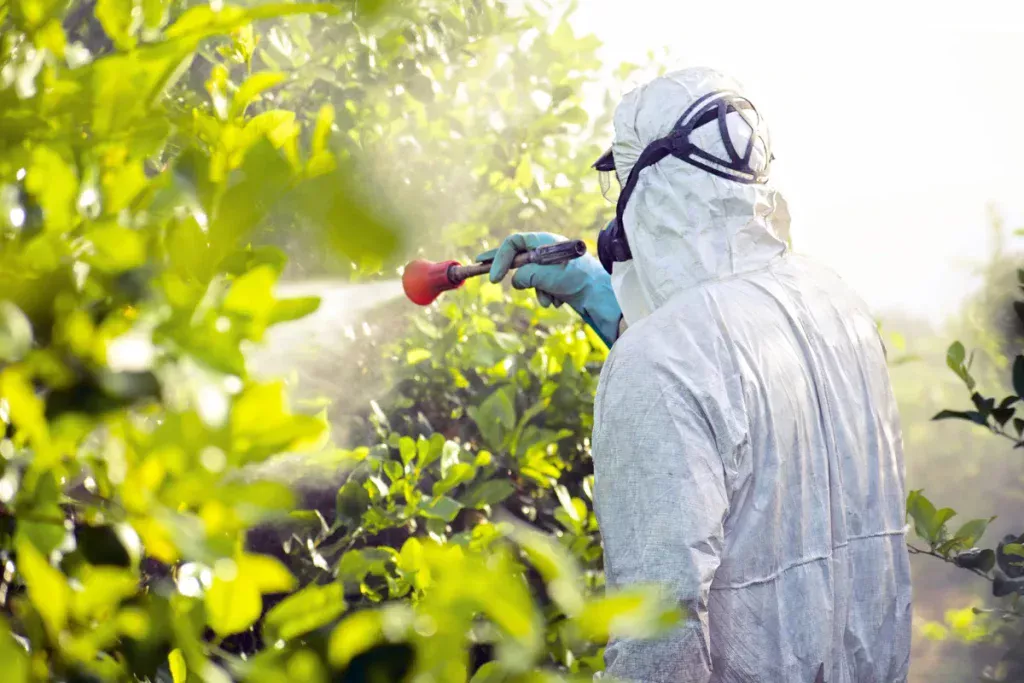 Sind deine Pflanzen in Gefahr? Die überraschende Wahrheit über Schädlinge im Garten