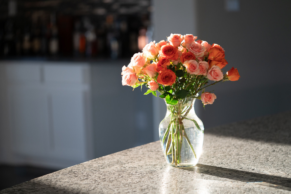 In eine Vase geben und umrühren. Die Rosen werden sich dann zwei Wochen länger halten.