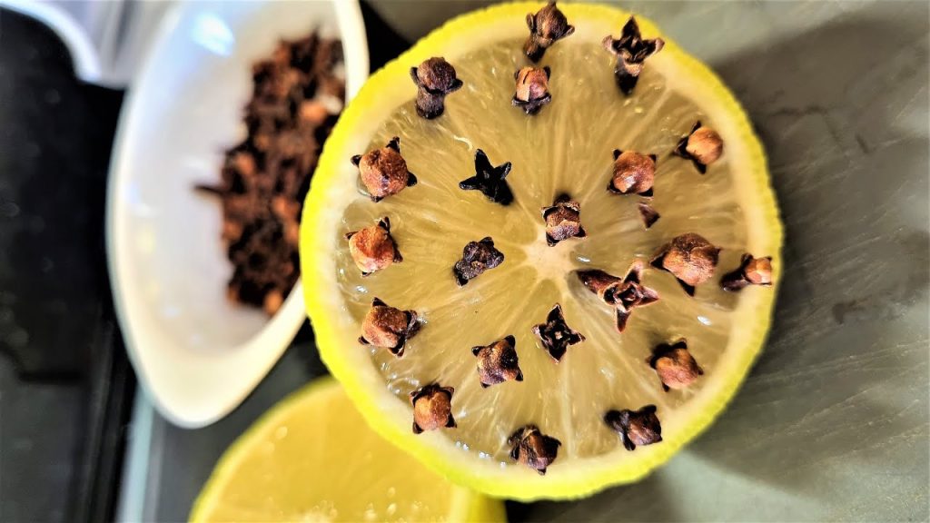 Auf Wiedersehen, Kakerlaken im Haus: Ein Reinigungsexperte verrät die Geheimnisse des Hauses, um die Küche vor schädlichen Insekten zu schützen.