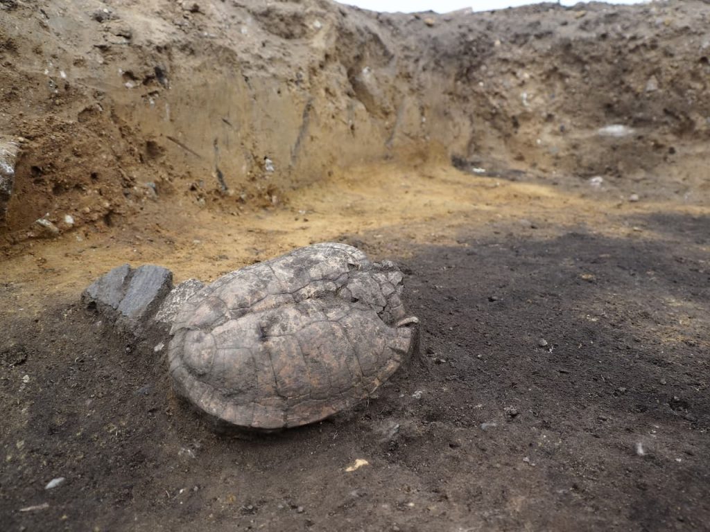 In Deutschland wurde eine bronzezeitliche Siedlung mit 332 Gebäuden, pyramidenförmigen Gewichten für Webstühle und Schildkrötenpanzern entdeckt