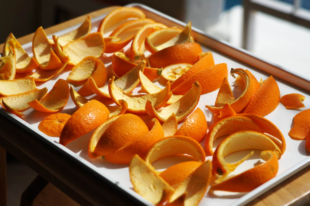 Ein Trick mit Orangenschalen, der Ihrem schlimmsten Albtraum in der Küche diesen Sommer ein Ende bereitet