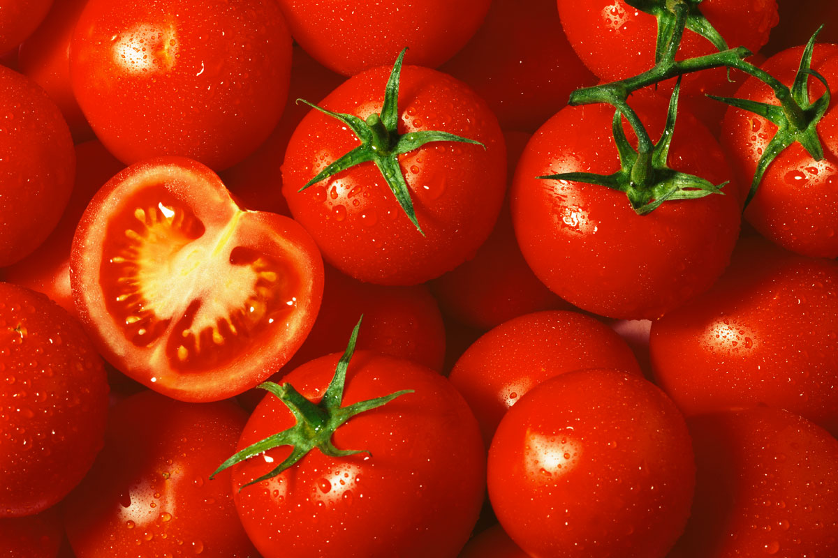So beschleunigen Sie die Reifung von Tomaten. Ein einfacher Trick, den jeder kennen sollte